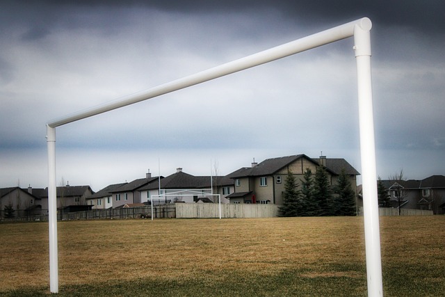 沙特队组织严密